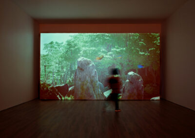 Installation view of The Lost Jungle.
