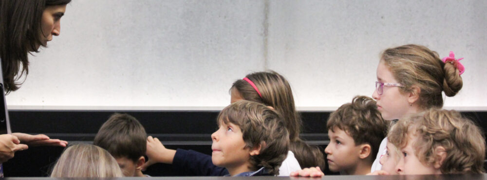 MAXXI - Museo nazionale delle arti del XXI secolo